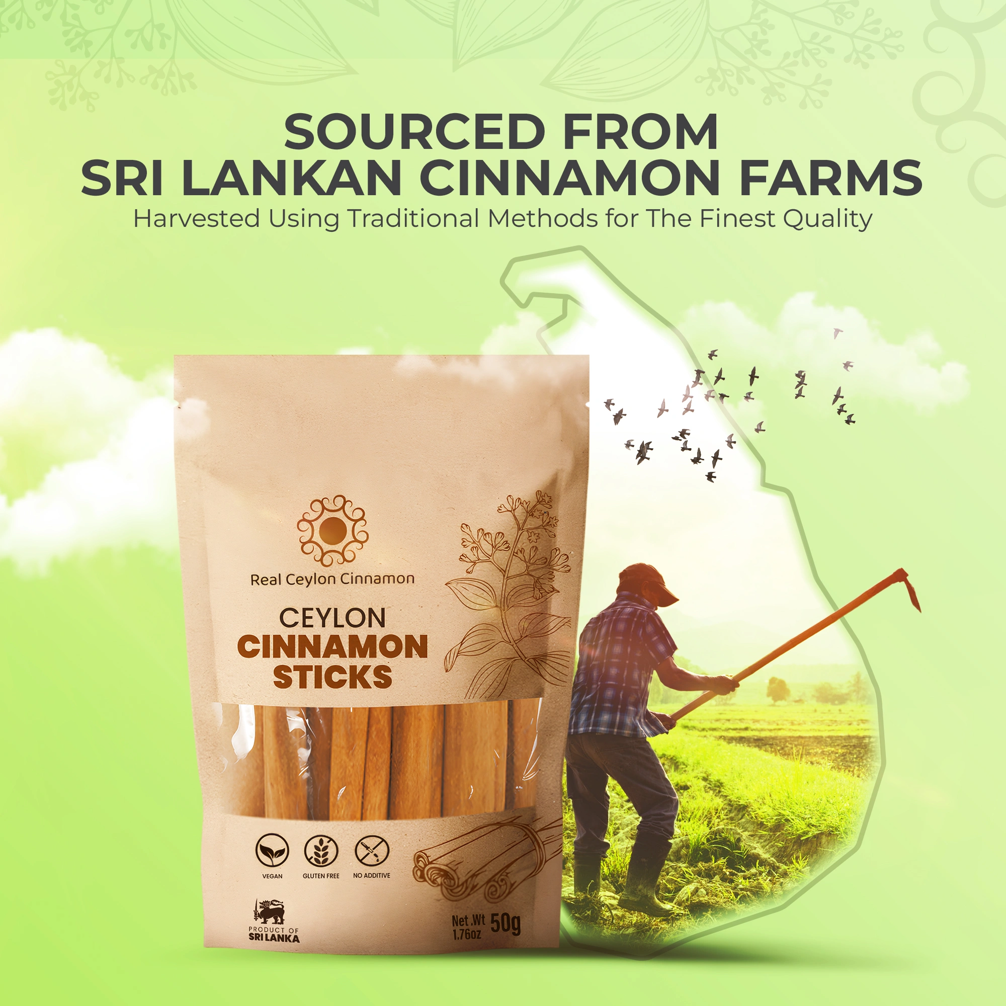 Ceylon Cinnamon Sticks - Image 5