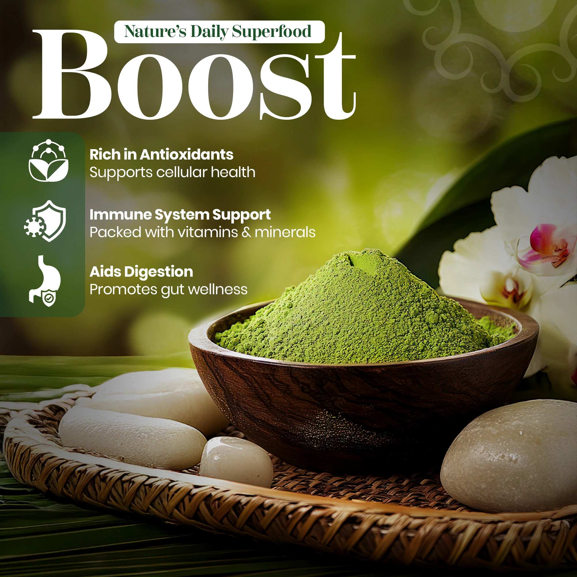 Premium Moringa Powder - Image 4
