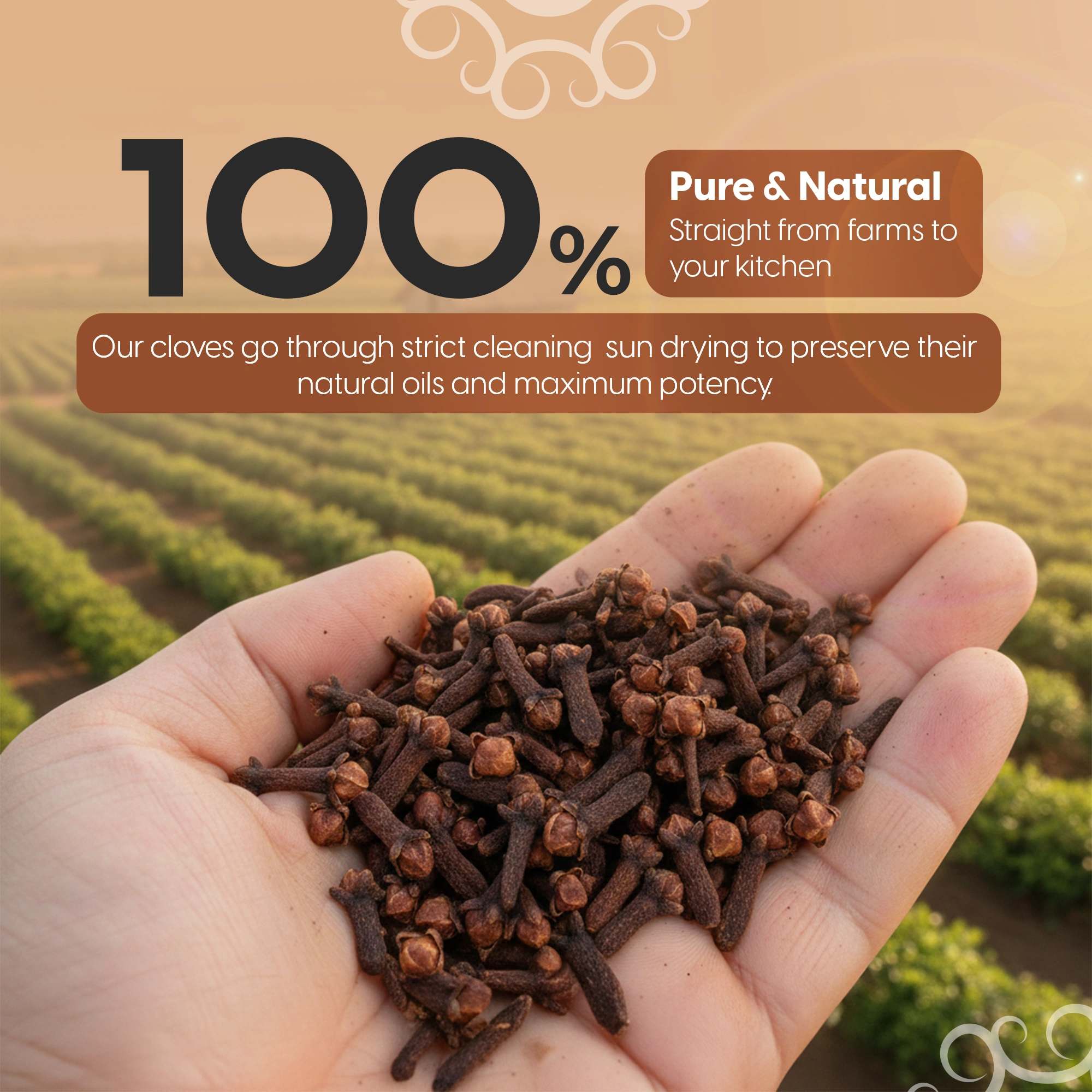 Sri Lankan Whole Clove - Image 5